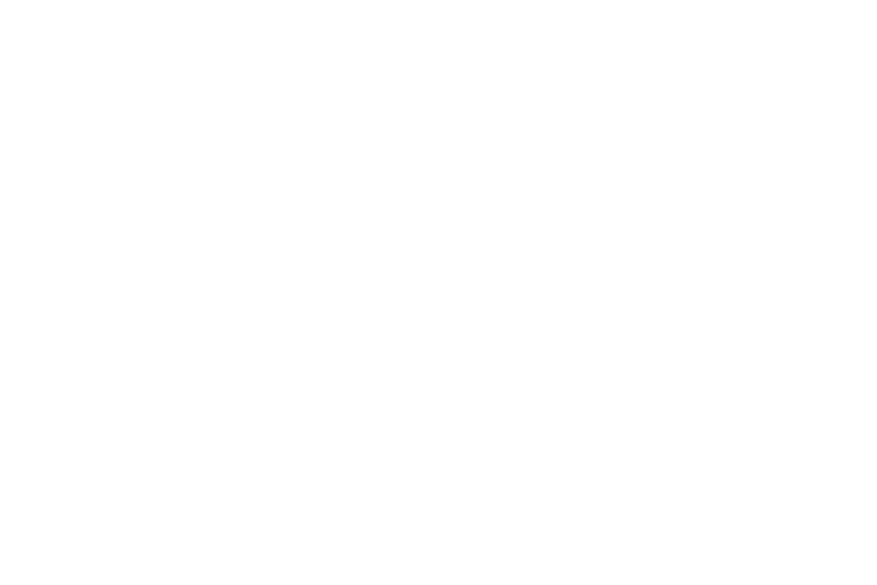 Golden Brothers Logo